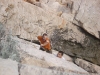 sitemario-free_-fr-anse-du-figuier-033