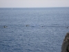 sitemario-free_-fr-anse-du-figuier-045