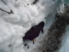 sitemario-free_-fr-neige2013-016