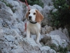 sitemario-free_-fr-la-colline-de-lun-052