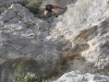 sitemario-free_-fr-le-prado-004