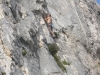 sitemario-free_-fr-le-prado-006
