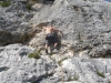 sitemario-free_-fr-le-prado-010