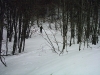 pic_0048 pic_0048