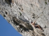 sitemario-free_-fr-ragga-wall-001