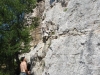 sitemario-free_-fr-ragga-wall-006