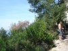 sitemario-free_-fr-ragga-wall-011