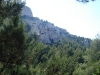 sitemario-free_-fr-ragga-wall-014