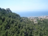 sitemario-free_-fr-ragga-wall-023