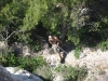 sitemario-free_-fr-ragga-wall-025