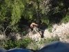 sitemario-free_-fr-ragga-wall-027