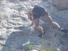 sitemario-free_-fr-ragga-wall-029