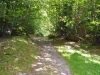 dscn2329 dscn2329
