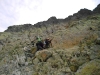 dscn2358 dscn2358